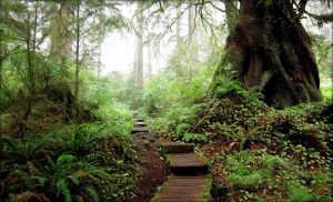 West Coast Trail